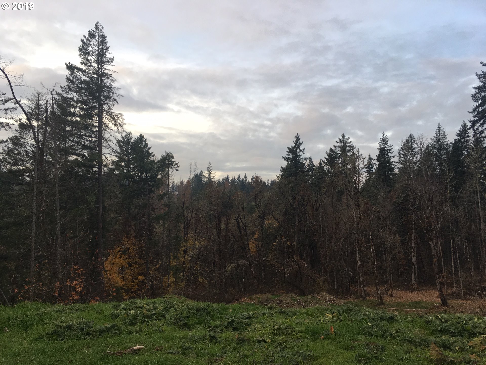 Gonyea Road Eugene, OR 97405 - Photo 4 of 5