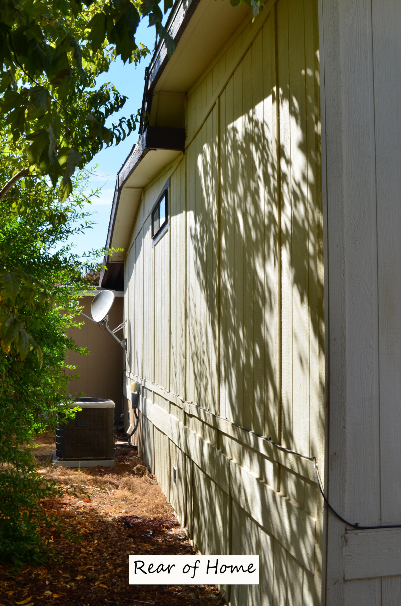 3835 Gardiner Ferry Road, Unit 17 Corning, CA 96021 - Photo 32 of 39 a view of a yard with a tree