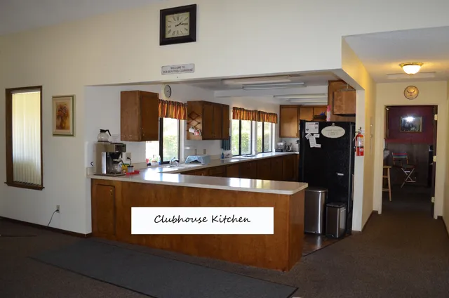 a view of a park with large trees