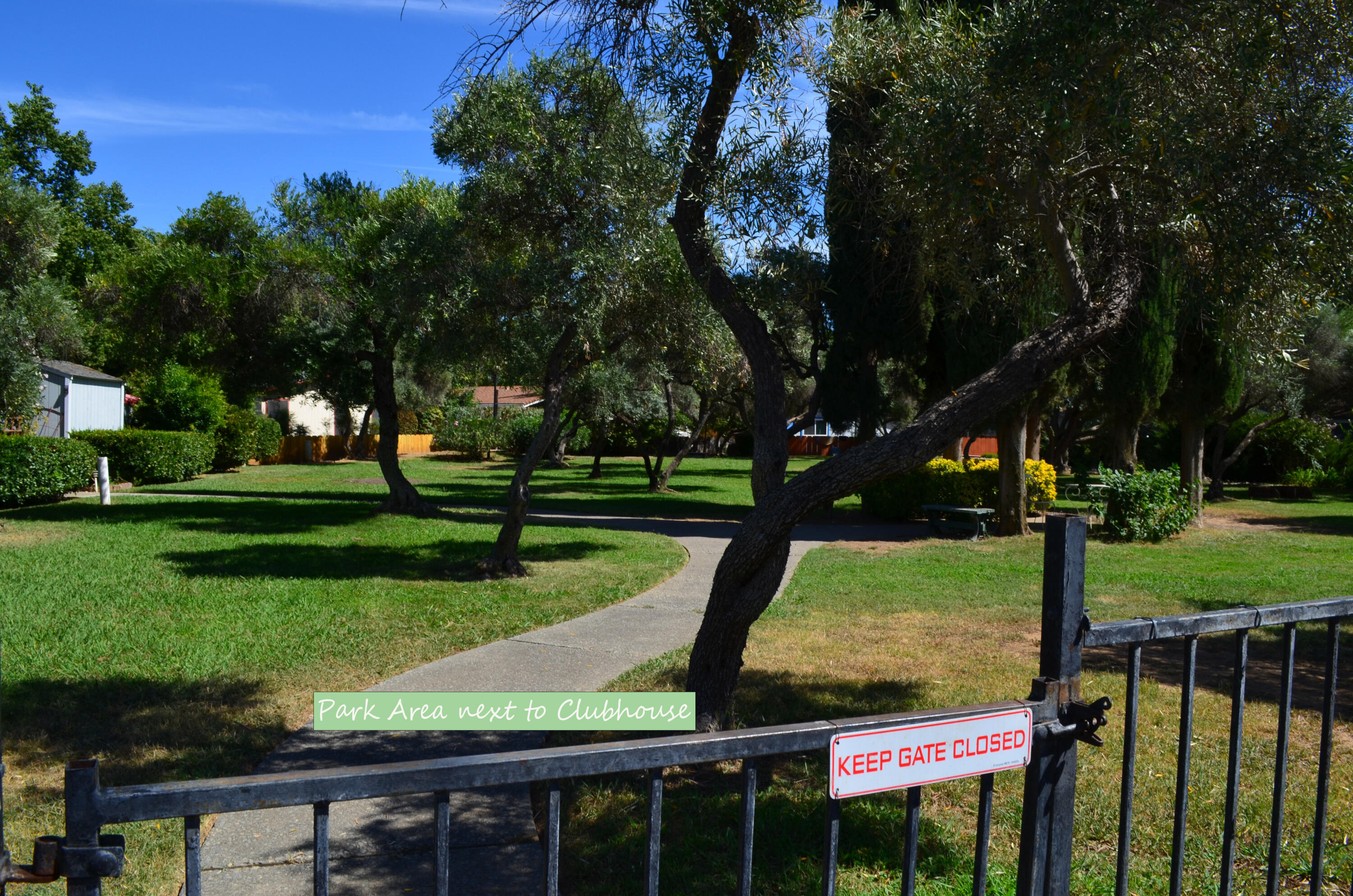 3835 Gardiner Ferry Road, Unit 17 Corning, CA 96021 - Photo 39 of 39 a view of a park with large trees