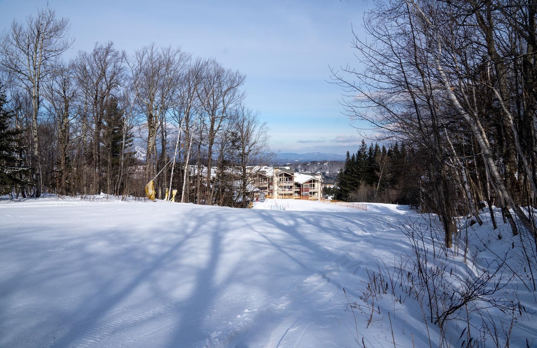 76 Shattarack Road, Unit F5D Stratton, VT 05155 - Photo 18 of 24 Gallery Image 18