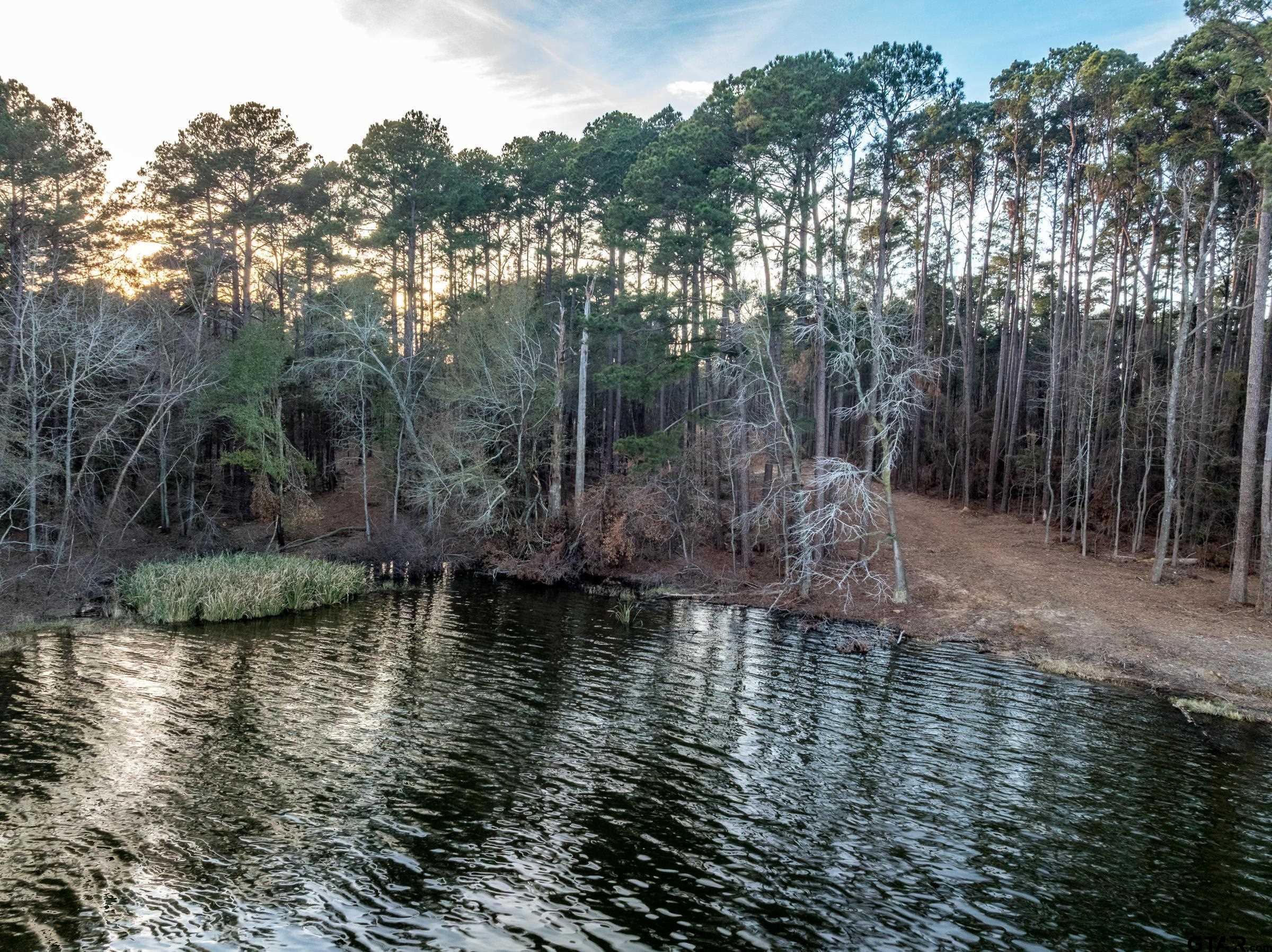 0 Oak River Frankston, TX 75763 - Photo 4 of 13