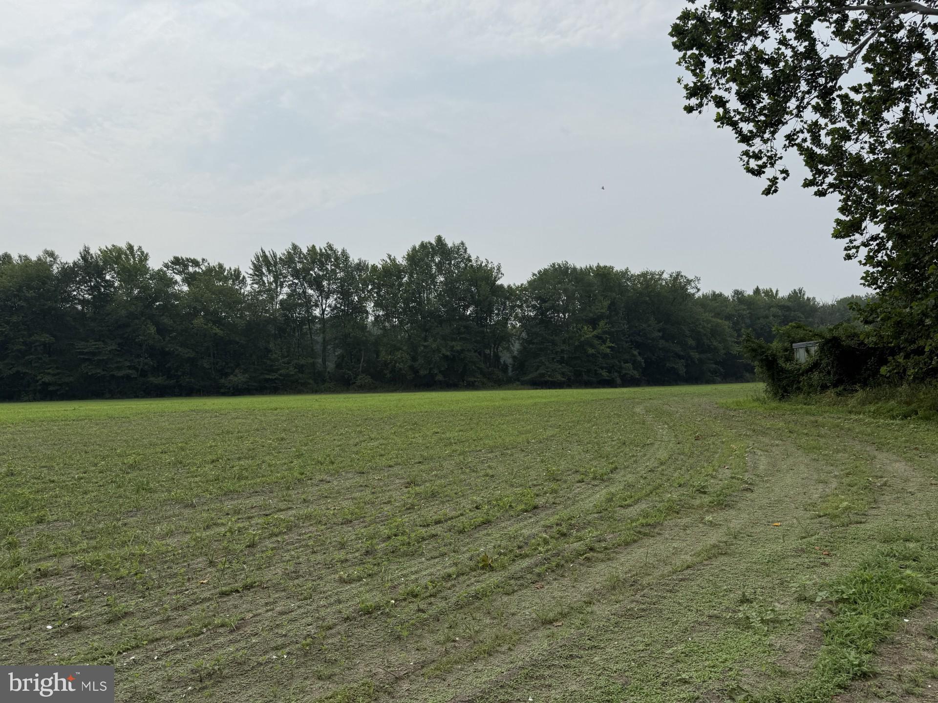 272 Pointville Road Pemberton, NJ 08068 - Photo 5 of 7 Planted