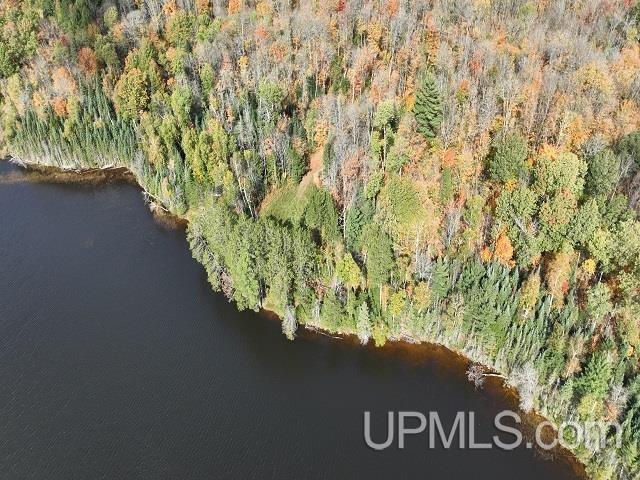 5800 Wolf Lake Road Watersmeet, MI 49969 - Photo 78 of 86