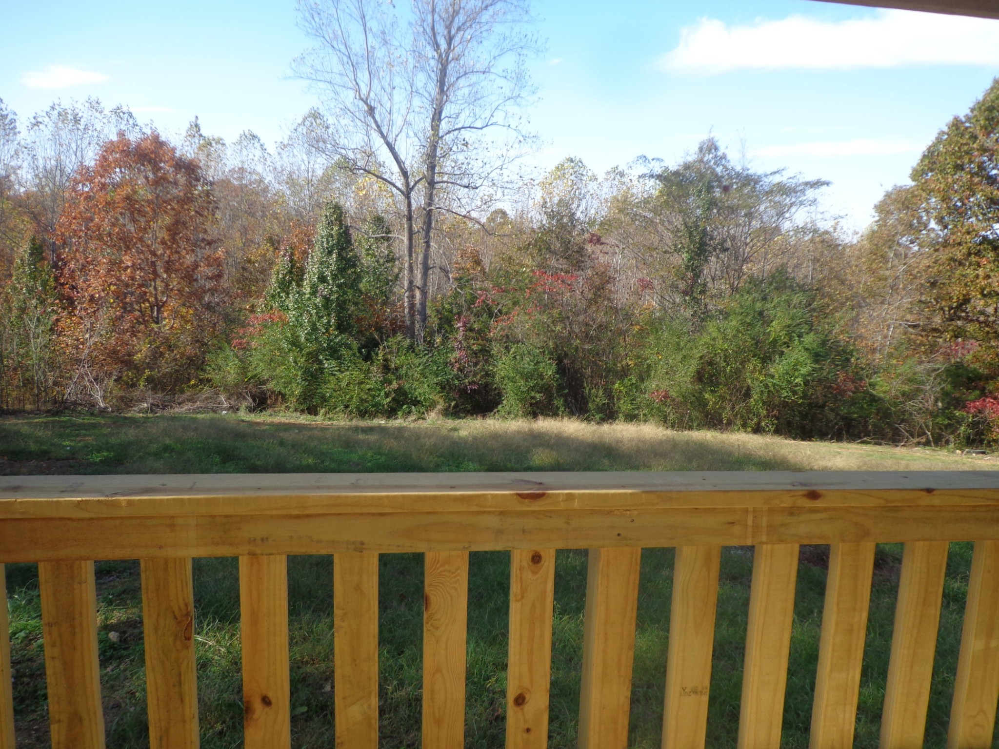 152 Baker Ridge Road Waverly, TN 37185 - Photo 19 of 20 a view of yard with green space