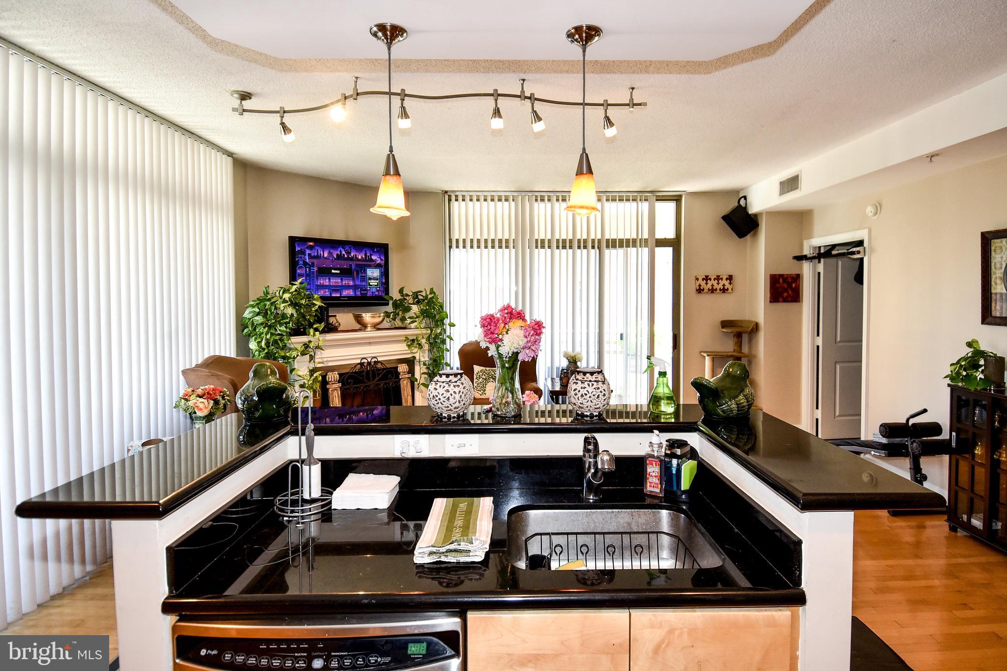 3600 South Glebe Road, Unit 417W Arlington, VA 22202 - Photo 9 of 35