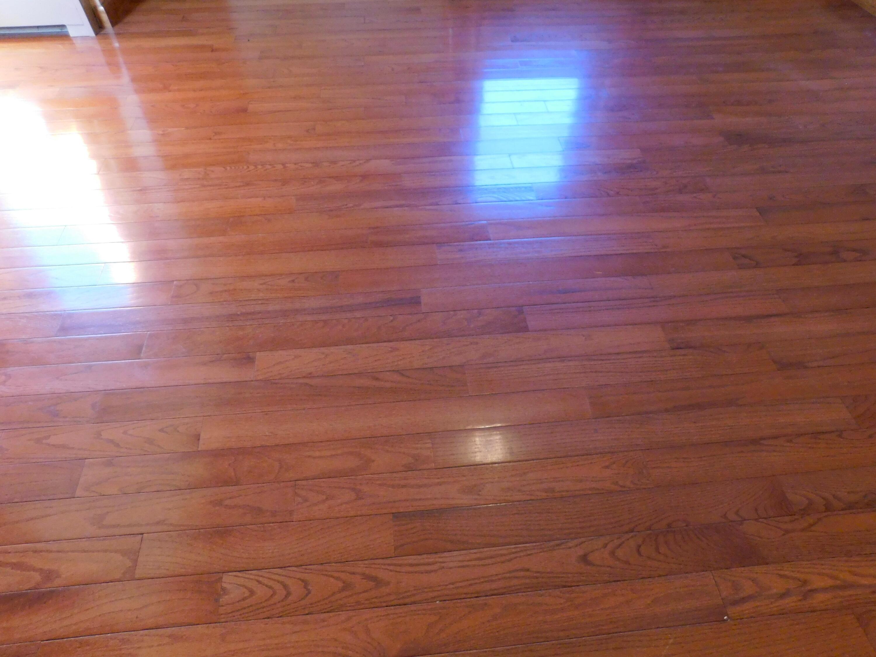 76 Dexter Road Garland, ME 04939 - Photo 27 of 77 DSCN8556