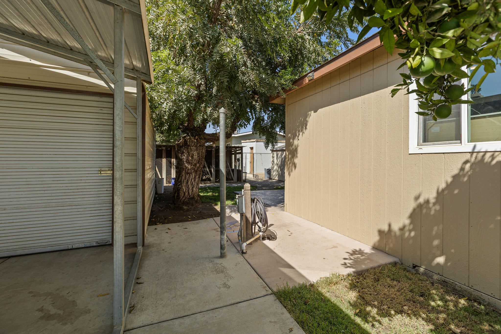 25769 Hypericum Road Visalia, CA 93292 - Photo 33 of 83 34 Yard