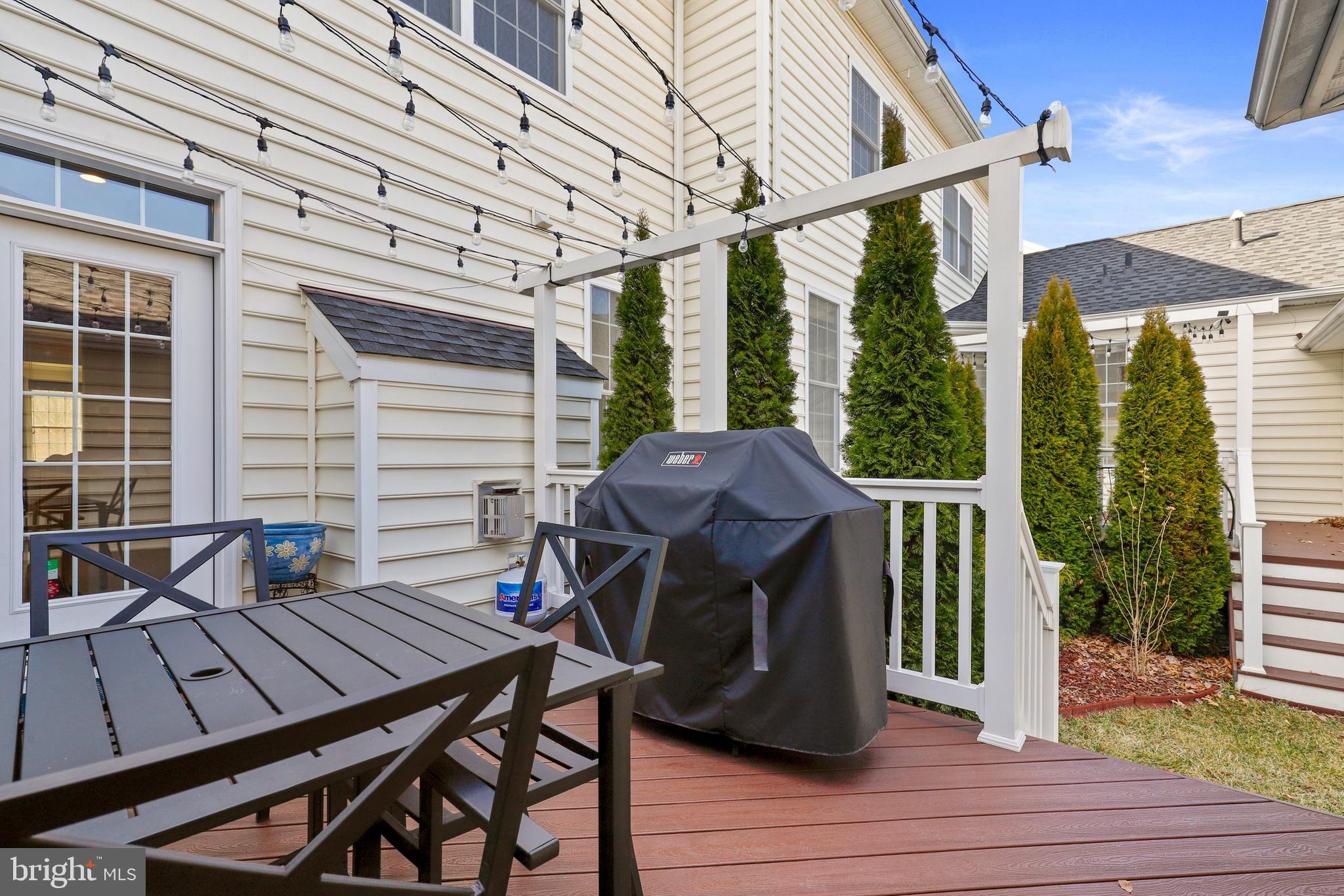 23266 Evergreen Ridge Drive Ashburn, VA 20148 - Photo 45 of 58