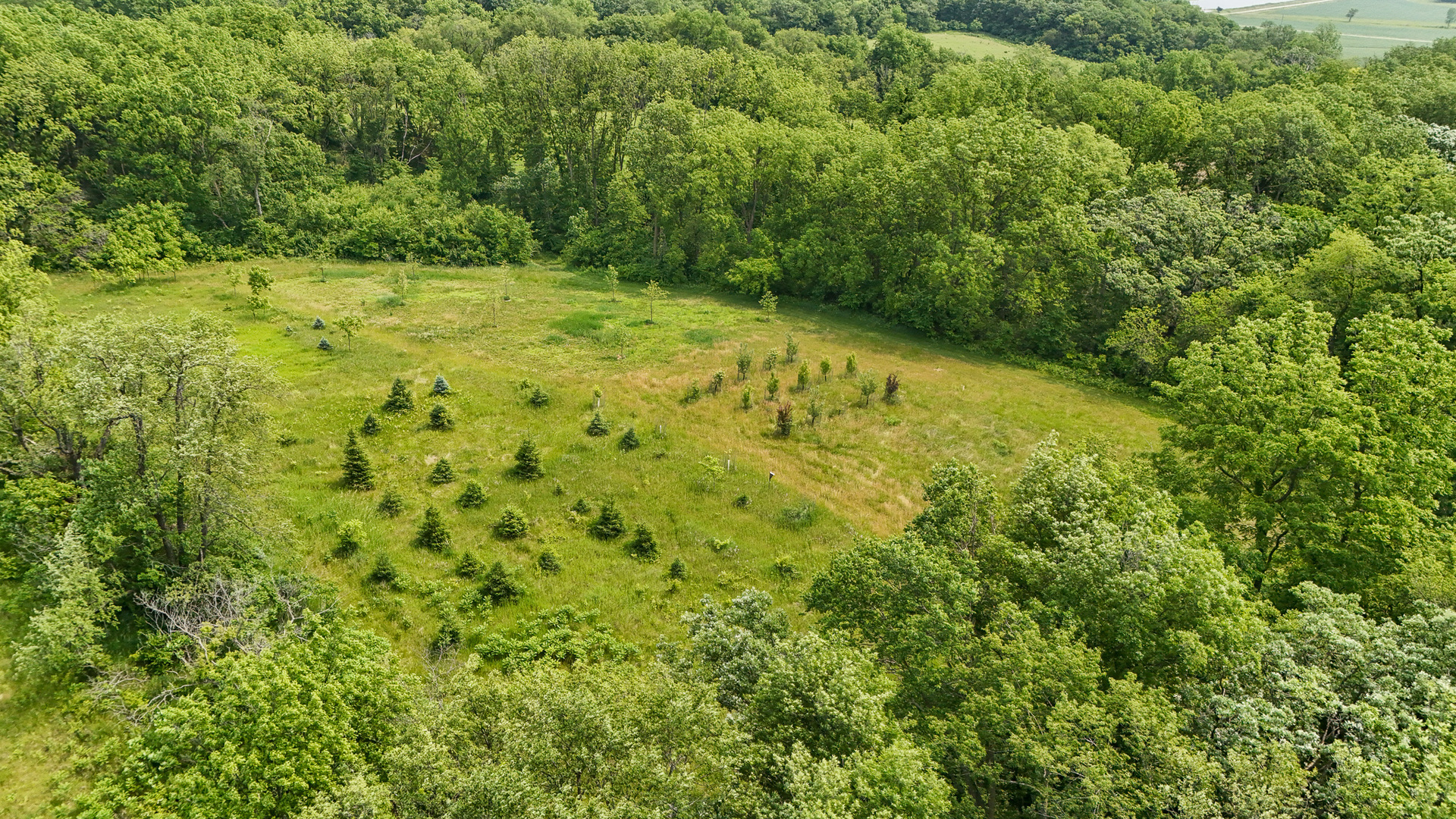 0 West Henry Road Oregon, IL 61061 - Photo 8 of 32