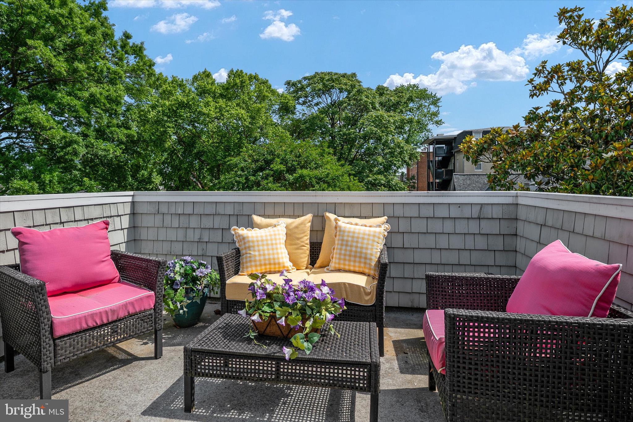 238 King George Street Annapolis, MD 21401 - Photo 38 of 55 Rooftop terrace