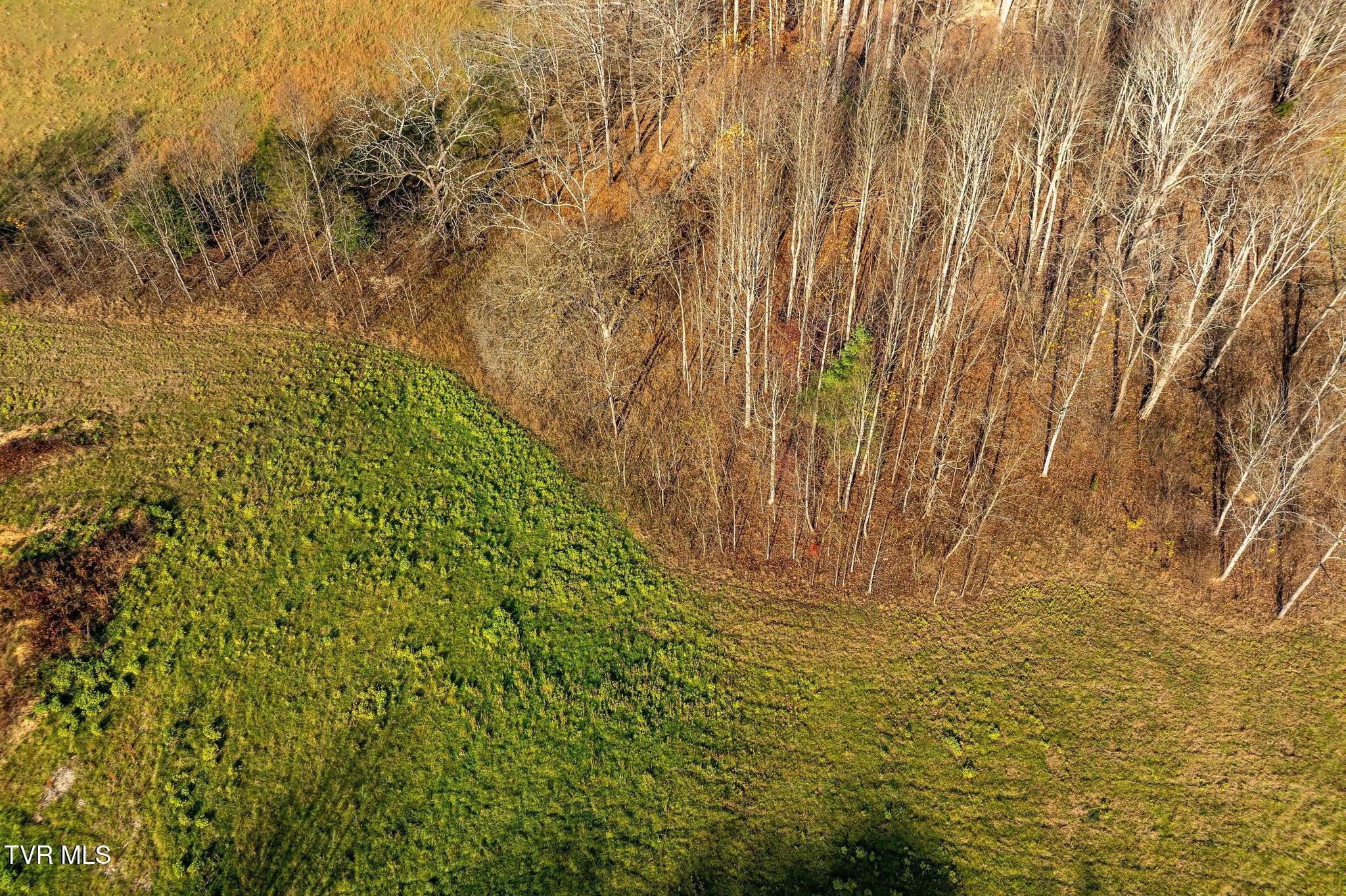 Lot 18 Silver Oak Trail, Unit 18 Butler, TN 37640 - Photo 14 of 42 Lot 18 Eagle Ridge (14 of 38)