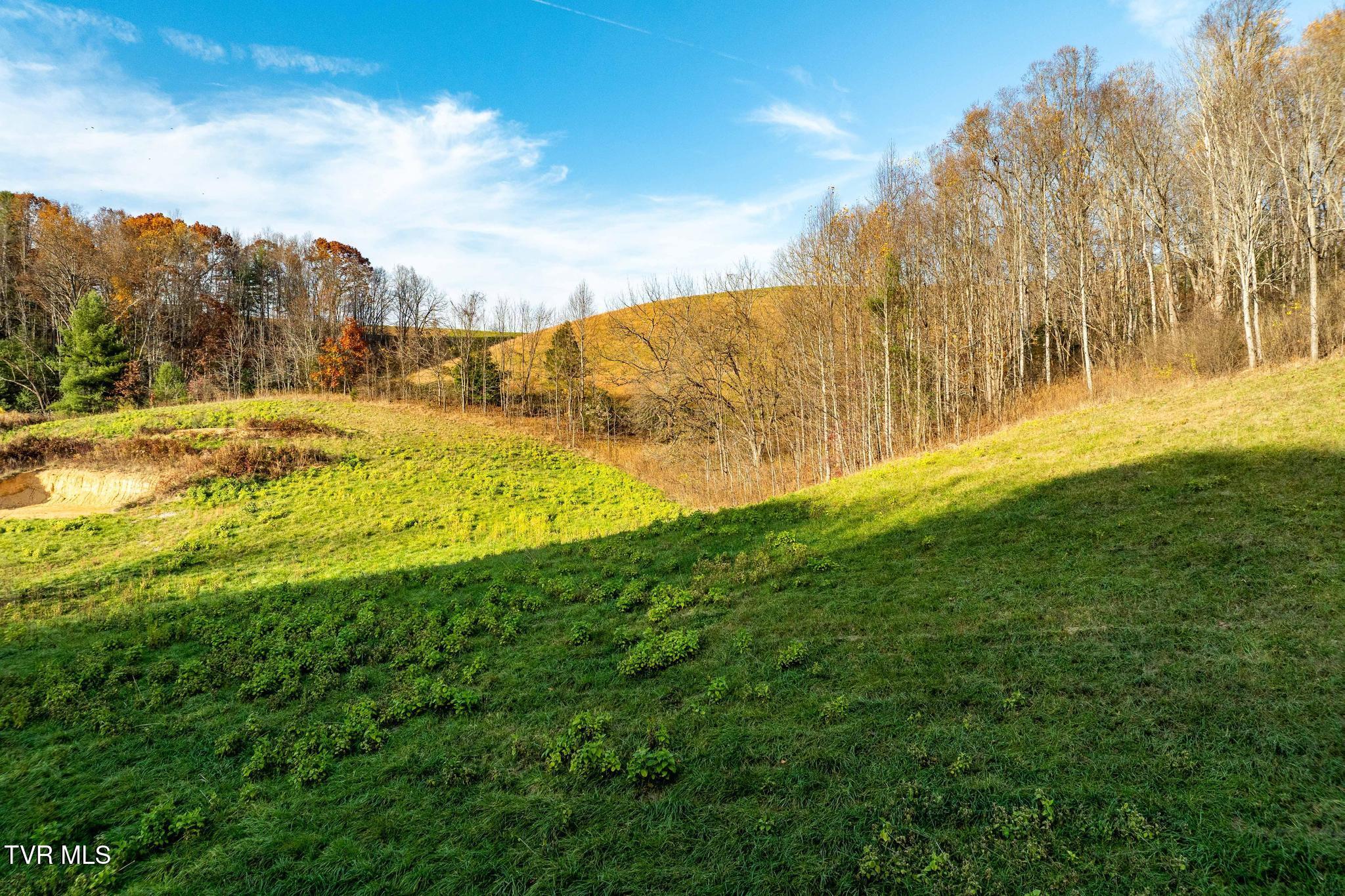 Lot 18 Silver Oak Trail, Unit 18 Butler, TN 37640 - Photo 15 of 42 Lot 18 Eagle Ridge (15 of 38)