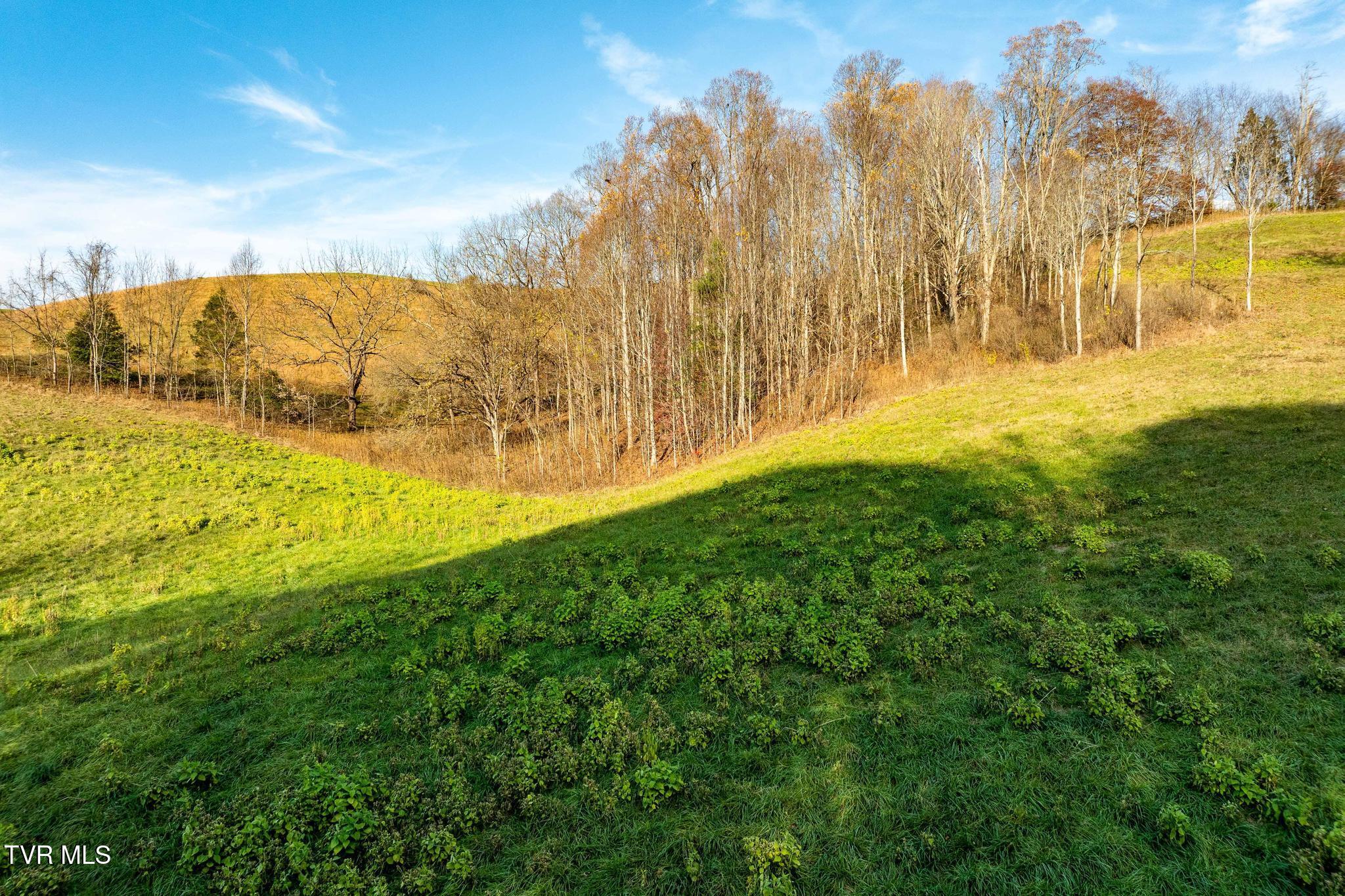 Lot 18 Silver Oak Trail, Unit 18 Butler, TN 37640 - Photo 16 of 42 Lot 18 Eagle Ridge (16 of 38)