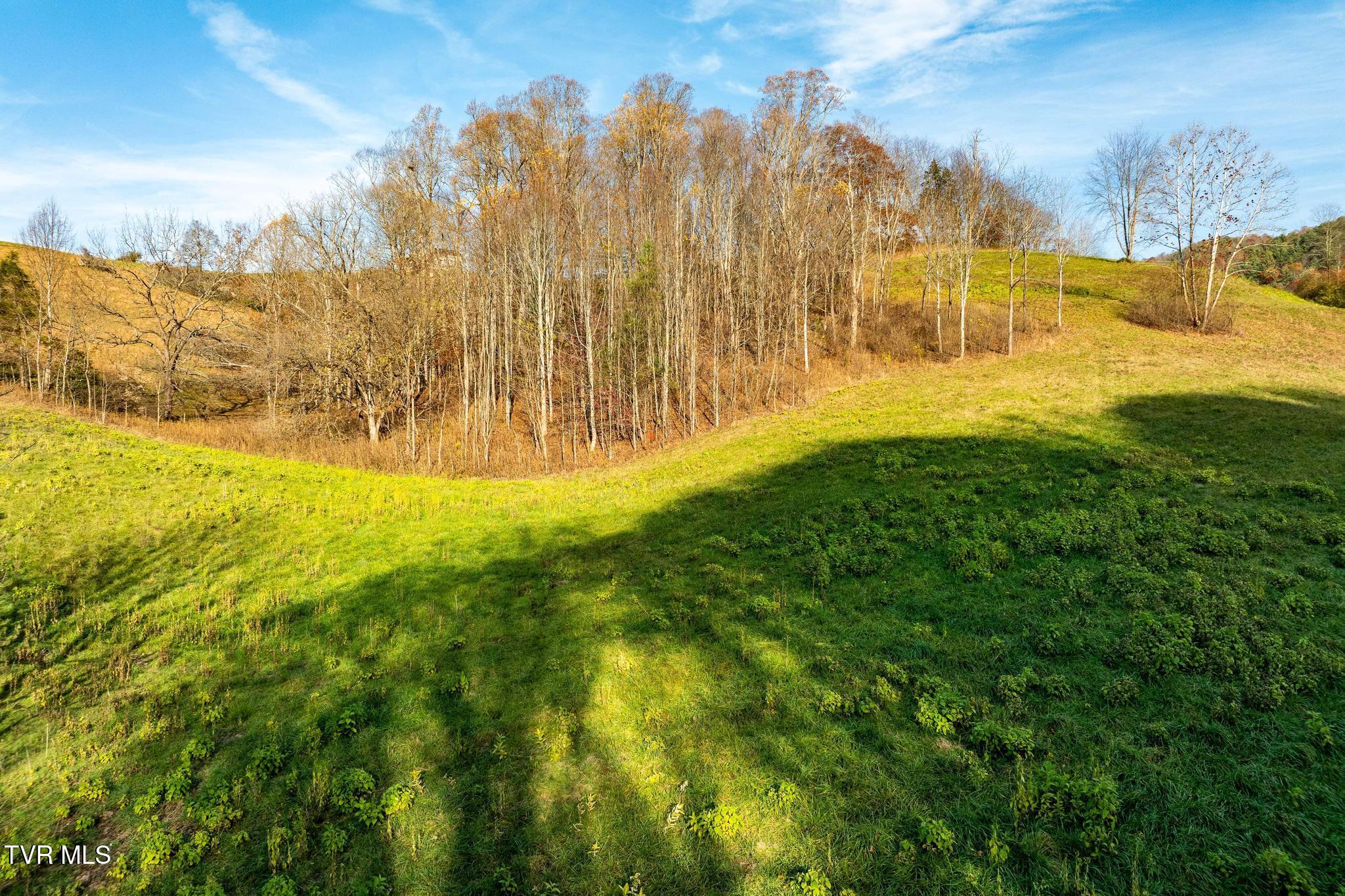 Lot 18 Silver Oak Trail, Unit 18 Butler, TN 37640 - Photo 17 of 42 Lot 18 Eagle Ridge (17 of 38)