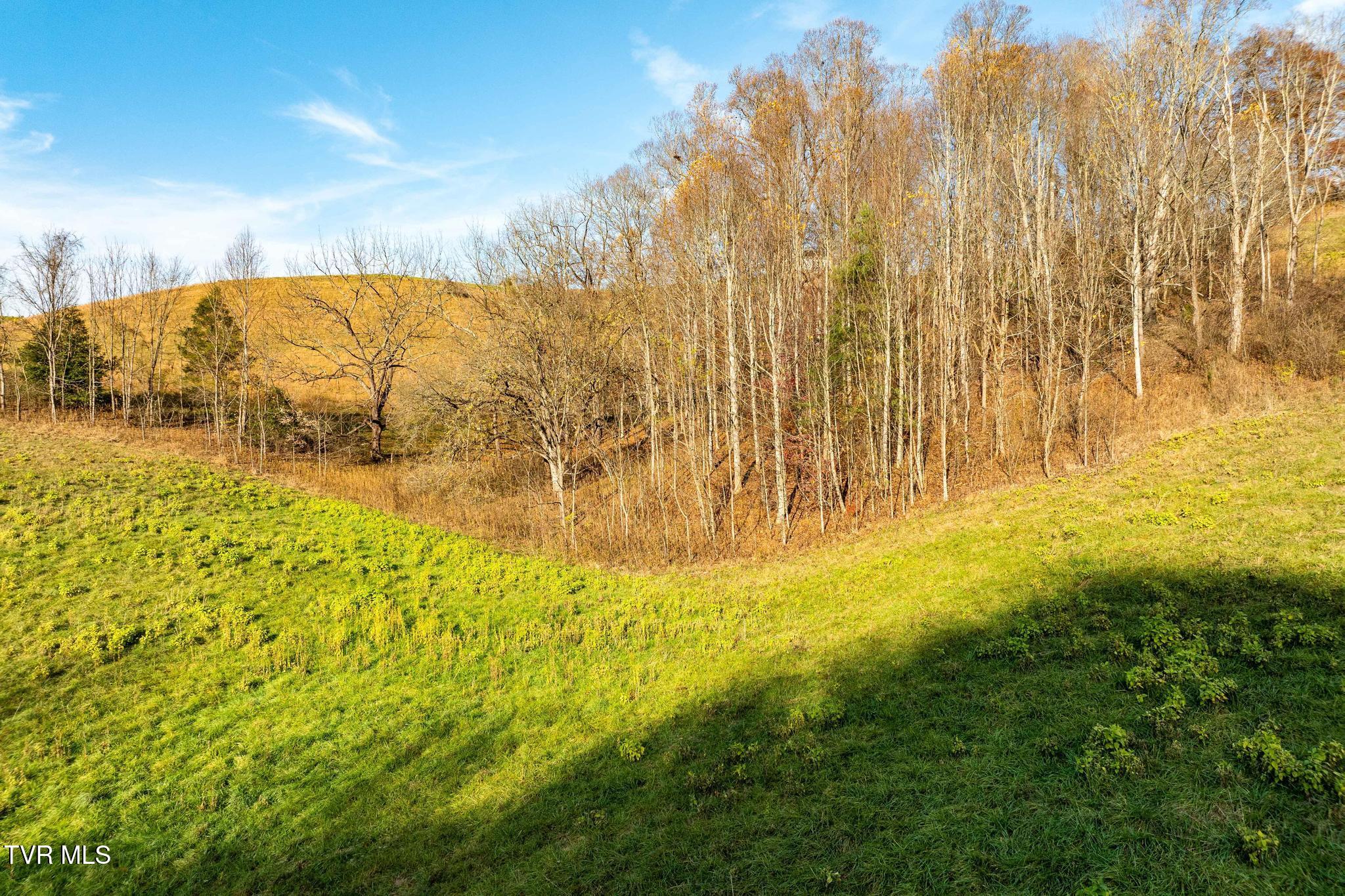 Lot 18 Silver Oak Trail, Unit 18 Butler, TN 37640 - Photo 18 of 42 Lot 18 Eagle Ridge (18 of 38)