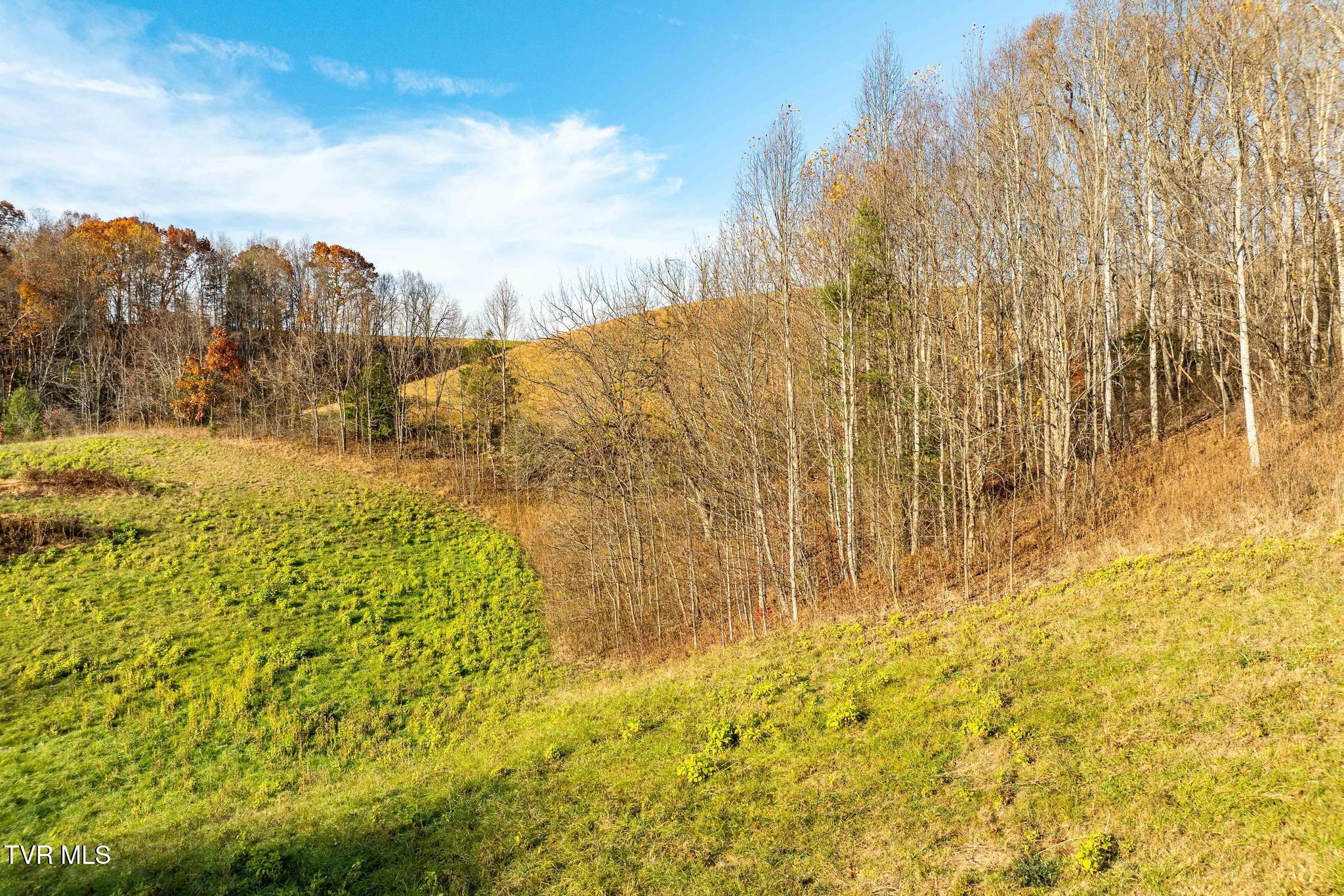 Lot 18 Silver Oak Trail, Unit 18 Butler, TN 37640 - Photo 19 of 42 Lot 18 Eagle Ridge (19 of 38)