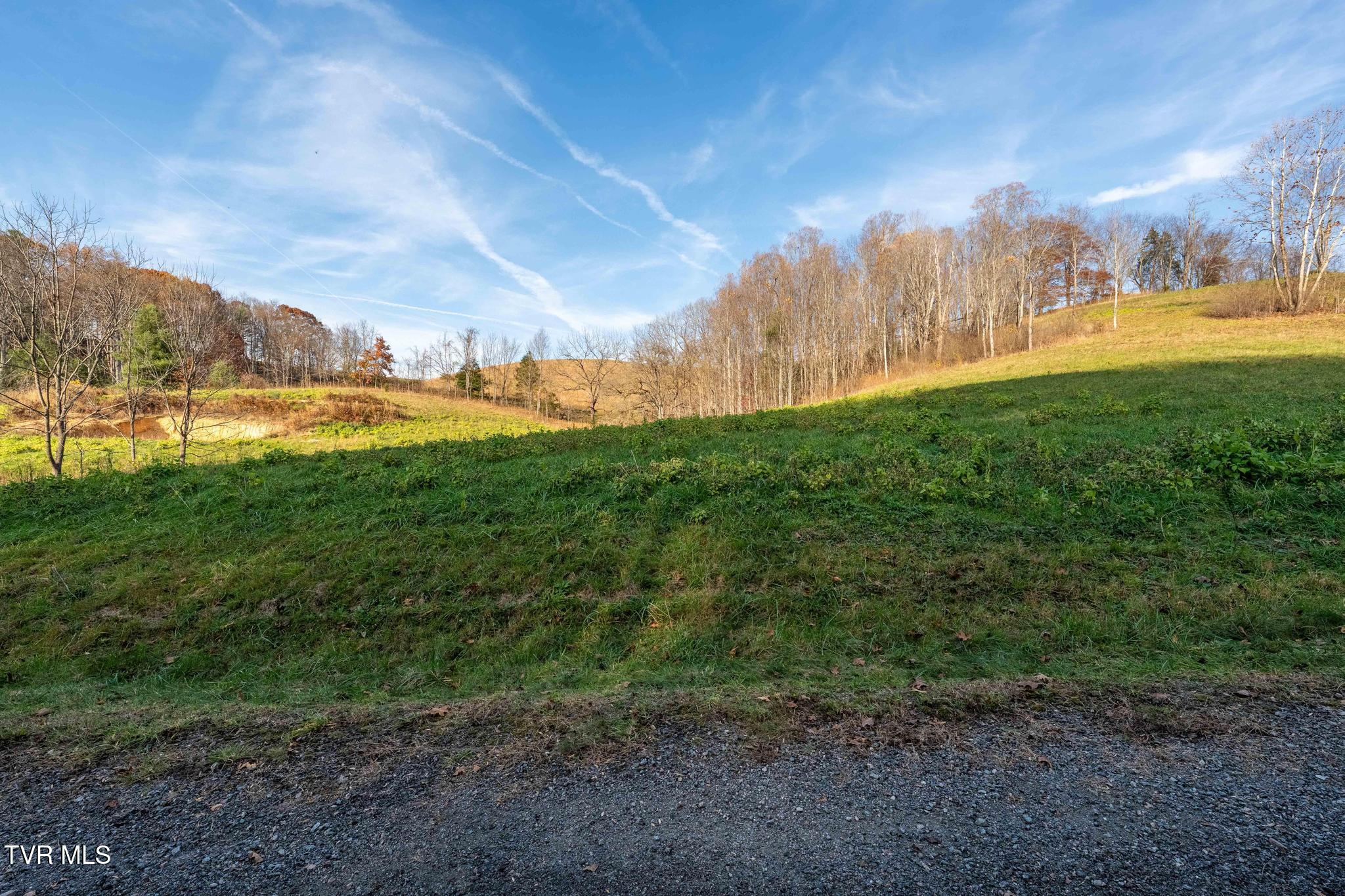 Lot 18 Silver Oak Trail, Unit 18 Butler, TN 37640 - Photo 23 of 42 Lot 18 Eagle Ridge (23 of 38)