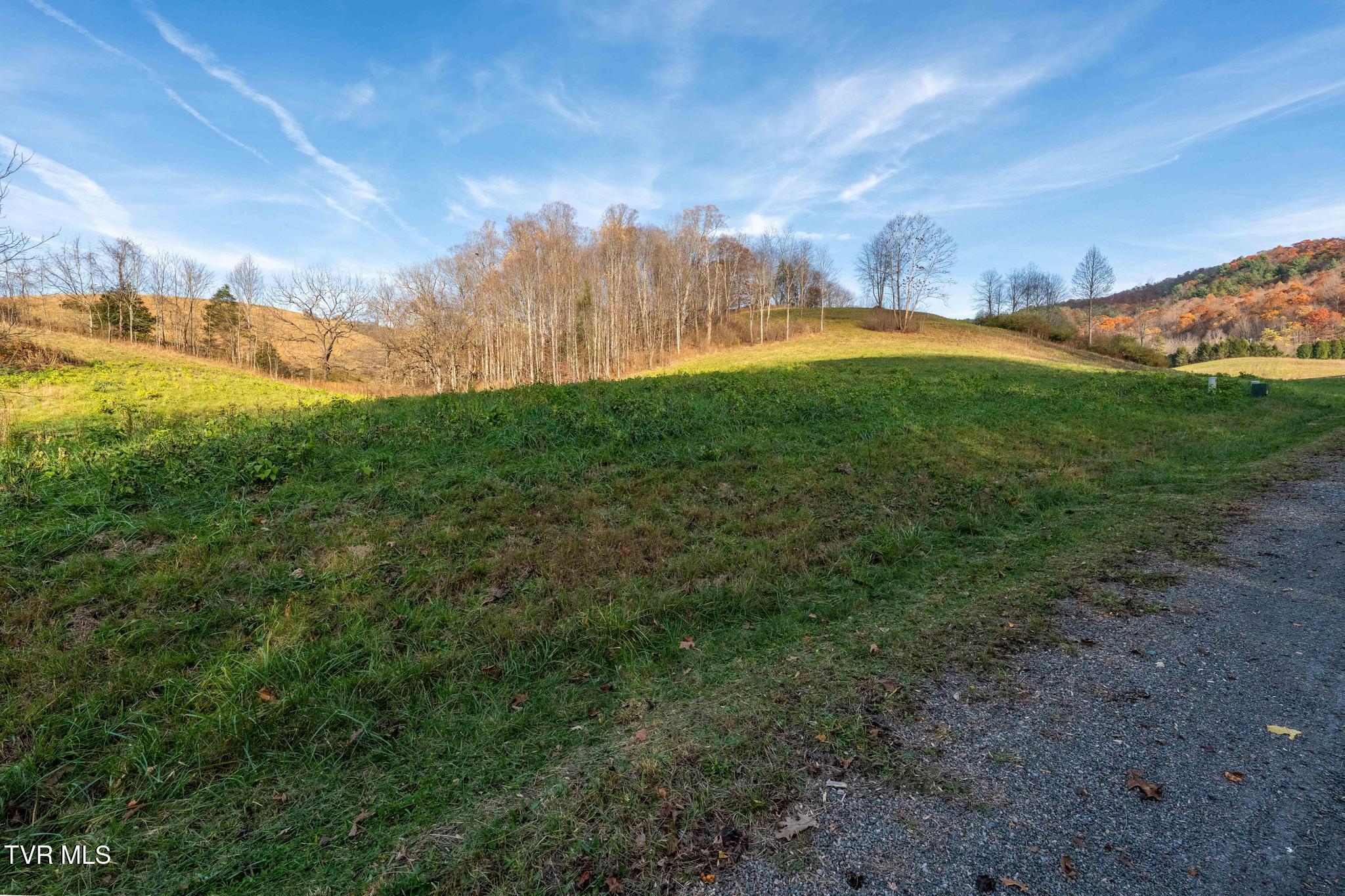 Lot 18 Silver Oak Trail, Unit 18 Butler, TN 37640 - Photo 24 of 42 Lot 18 Eagle Ridge (24 of 38)