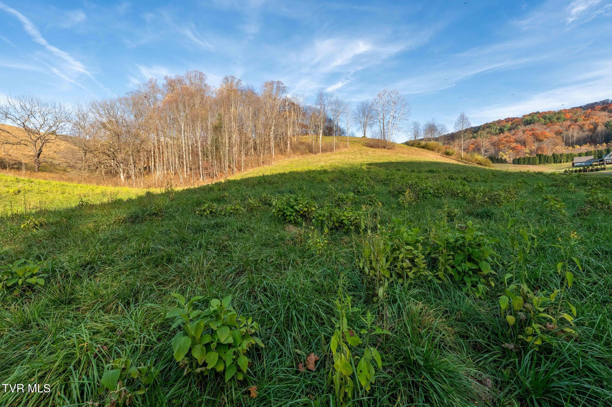 Lot 18 Silver Oak Trail, Unit 18 Butler, TN 37640 - Photo 25 of 42 Lot 18 Eagle Ridge (25 of 38)