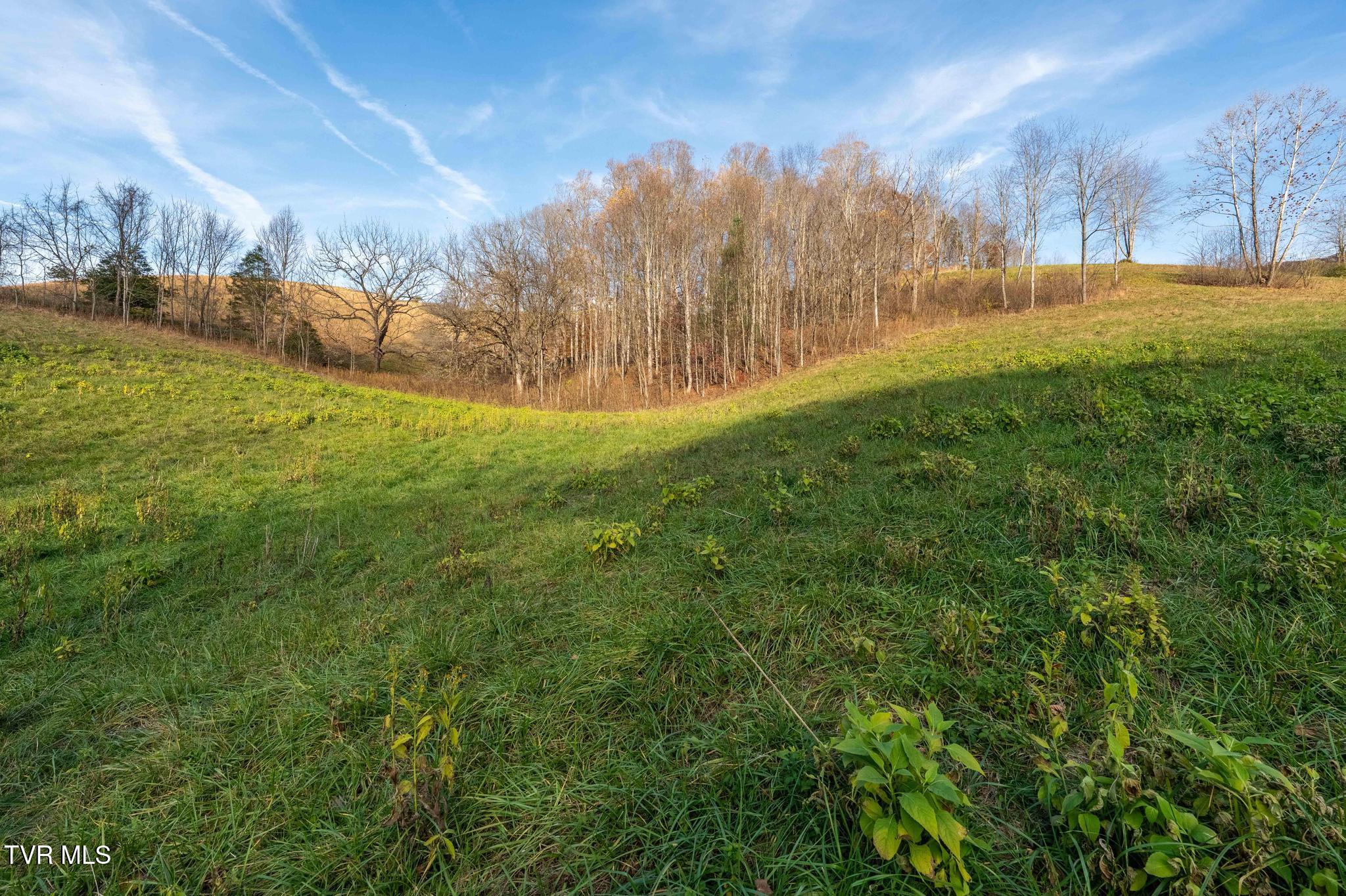 Lot 18 Silver Oak Trail, Unit 18 Butler, TN 37640 - Photo 26 of 42 Lot 18 Eagle Ridge (26 of 38)