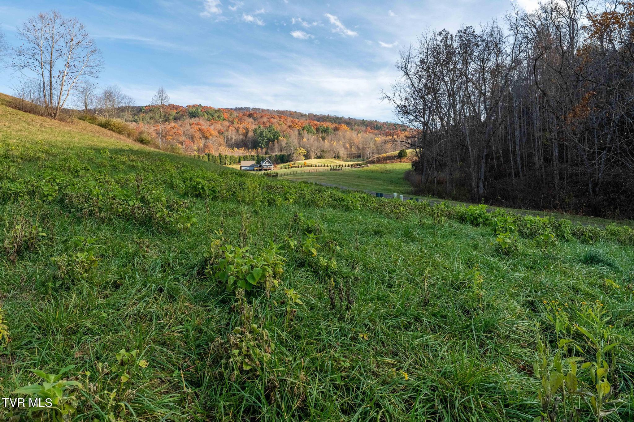 Lot 18 Silver Oak Trail, Unit 18 Butler, TN 37640 - Photo 27 of 42 Lot 18 Eagle Ridge (27 of 38)