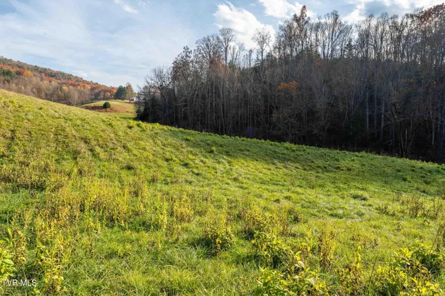 $49,900 | Lot 18 Silver Oak Trail, Unit 18, Butler, TN 37640