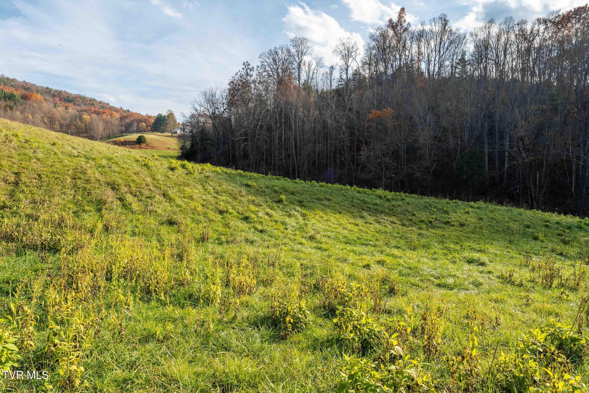 Lot 18 Silver Oak Trail, Unit 18 Butler, TN 37640 - Photo 28 of 42 Lot 18 Eagle Ridge (28 of 38)