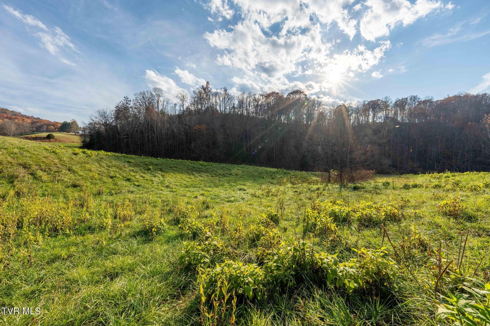 Lot 18 Silver Oak Trail, Unit 18 Butler, TN 37640 - Photo 29 of 42 Lot 18 Eagle Ridge (29 of 38)