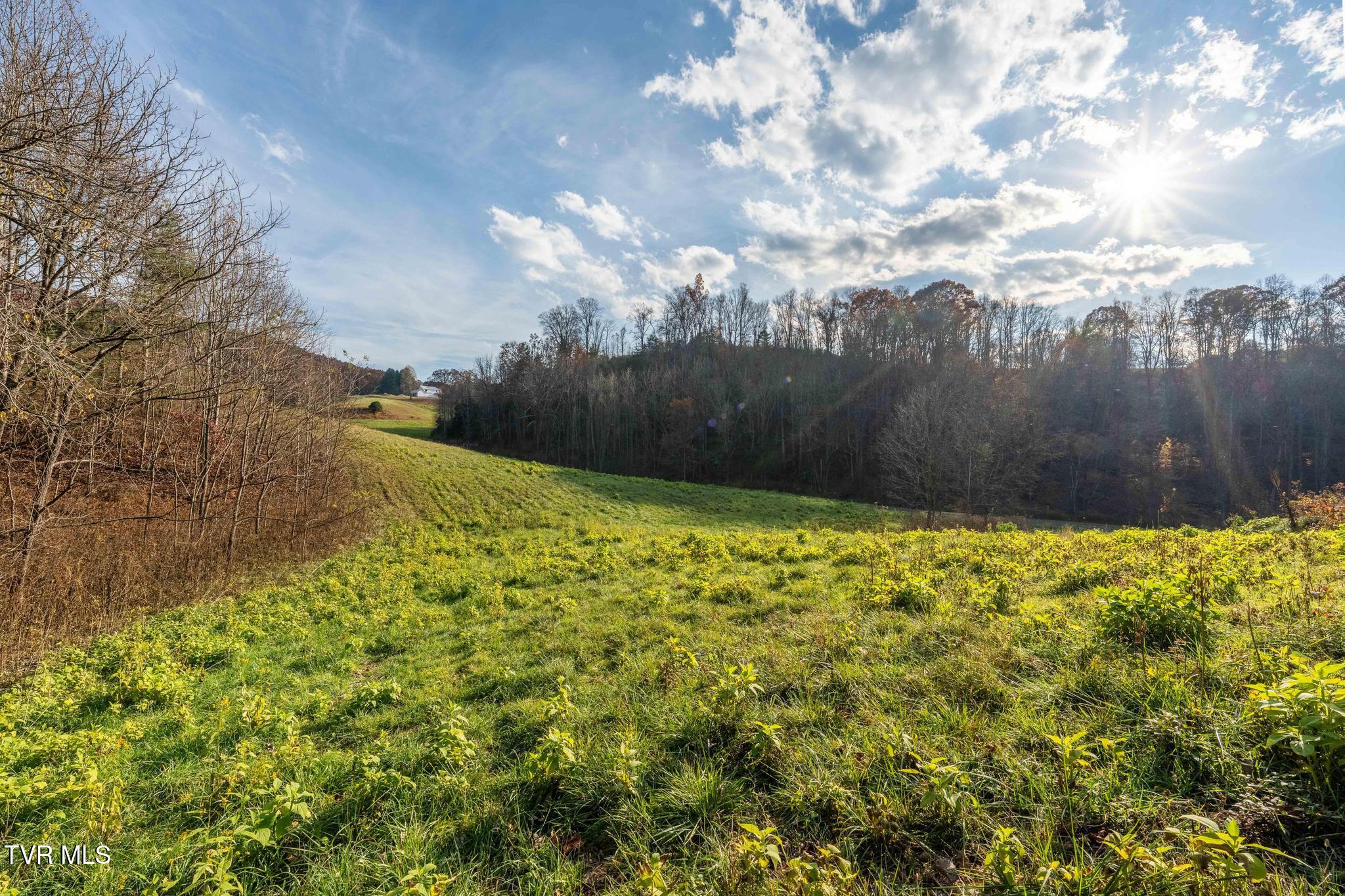 Lot 18 Silver Oak Trail, Unit 18 Butler, TN 37640 - Photo 30 of 42 Lot 18 Eagle Ridge (30 of 38)