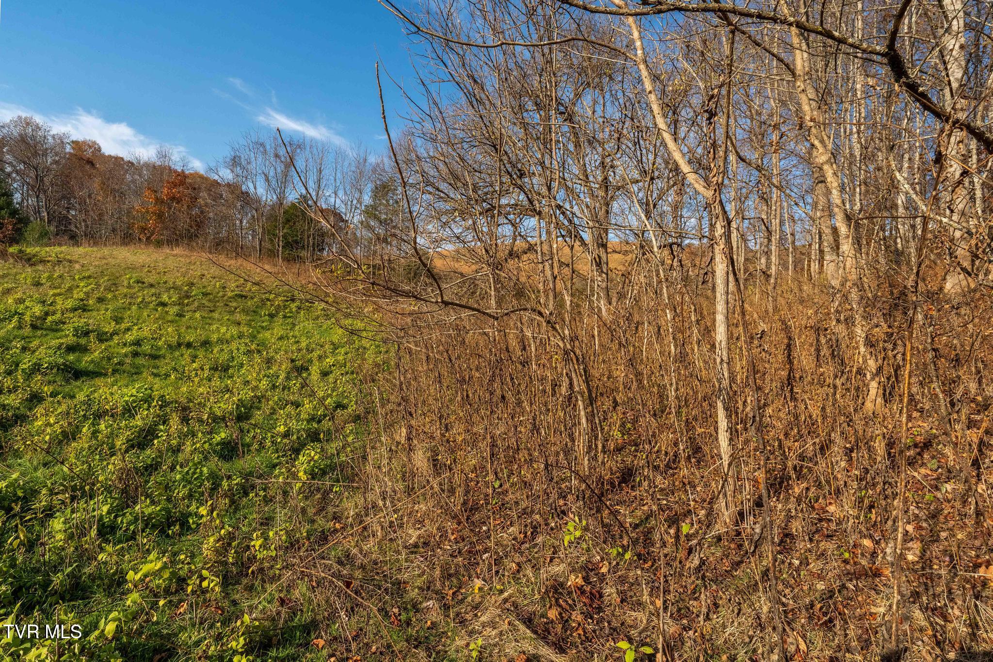 Lot 18 Silver Oak Trail, Unit 18 Butler, TN 37640 - Photo 32 of 42 Lot 18 Eagle Ridge (32 of 38)