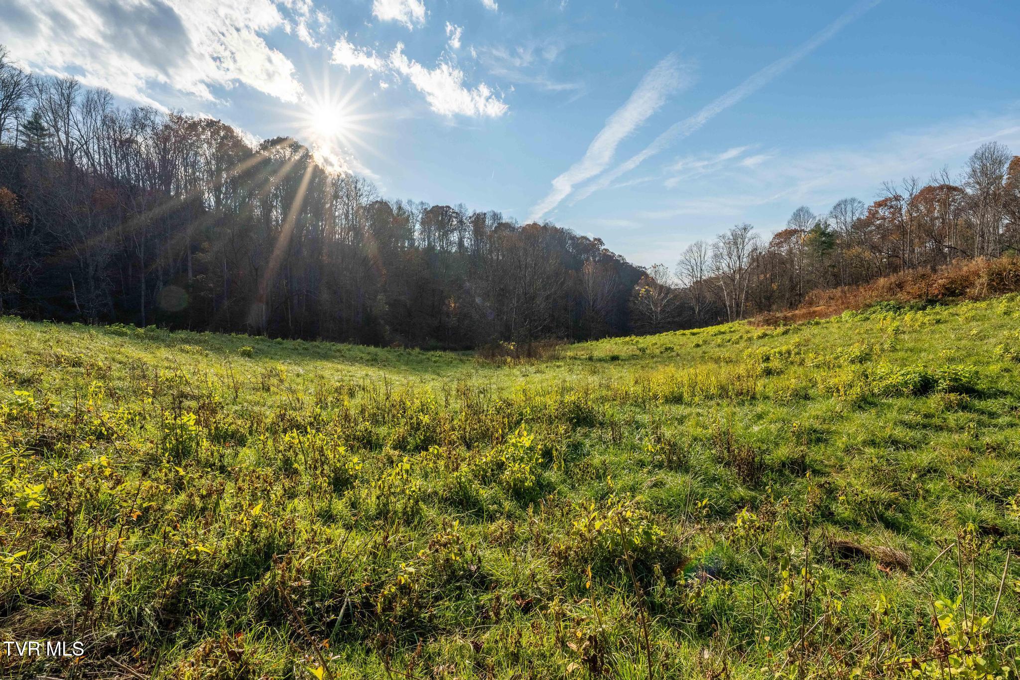 Lot 18 Silver Oak Trail, Unit 18 Butler, TN 37640 - Photo 33 of 42 Lot 18 Eagle Ridge (33 of 38)