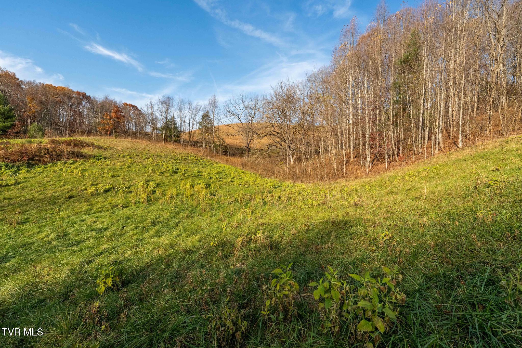 Lot 18 Silver Oak Trail, Unit 18 Butler, TN 37640 - Photo 35 of 42 Lot 18 Eagle Ridge (35 of 38)
