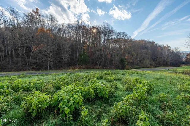 $49,900 | Lot 18 Silver Oak Trail, Unit 18, Butler, TN 37640