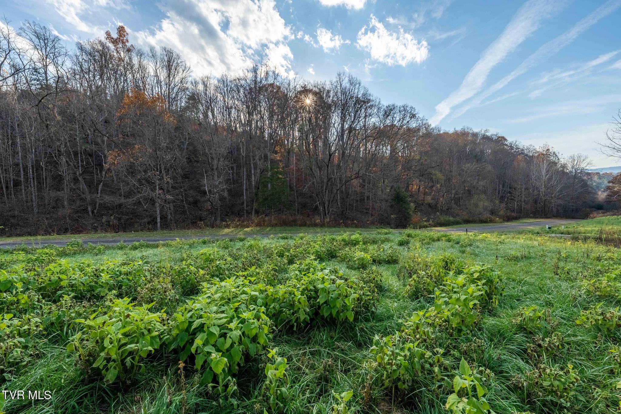 Lot 18 Silver Oak Trail, Unit 18 Butler, TN 37640 - Photo 36 of 42 Lot 18 Eagle Ridge (36 of 38)