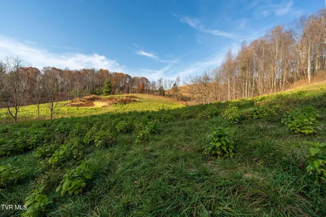 $49,900 | Lot 18 Silver Oak Trail, Unit 18, Butler, TN 37640