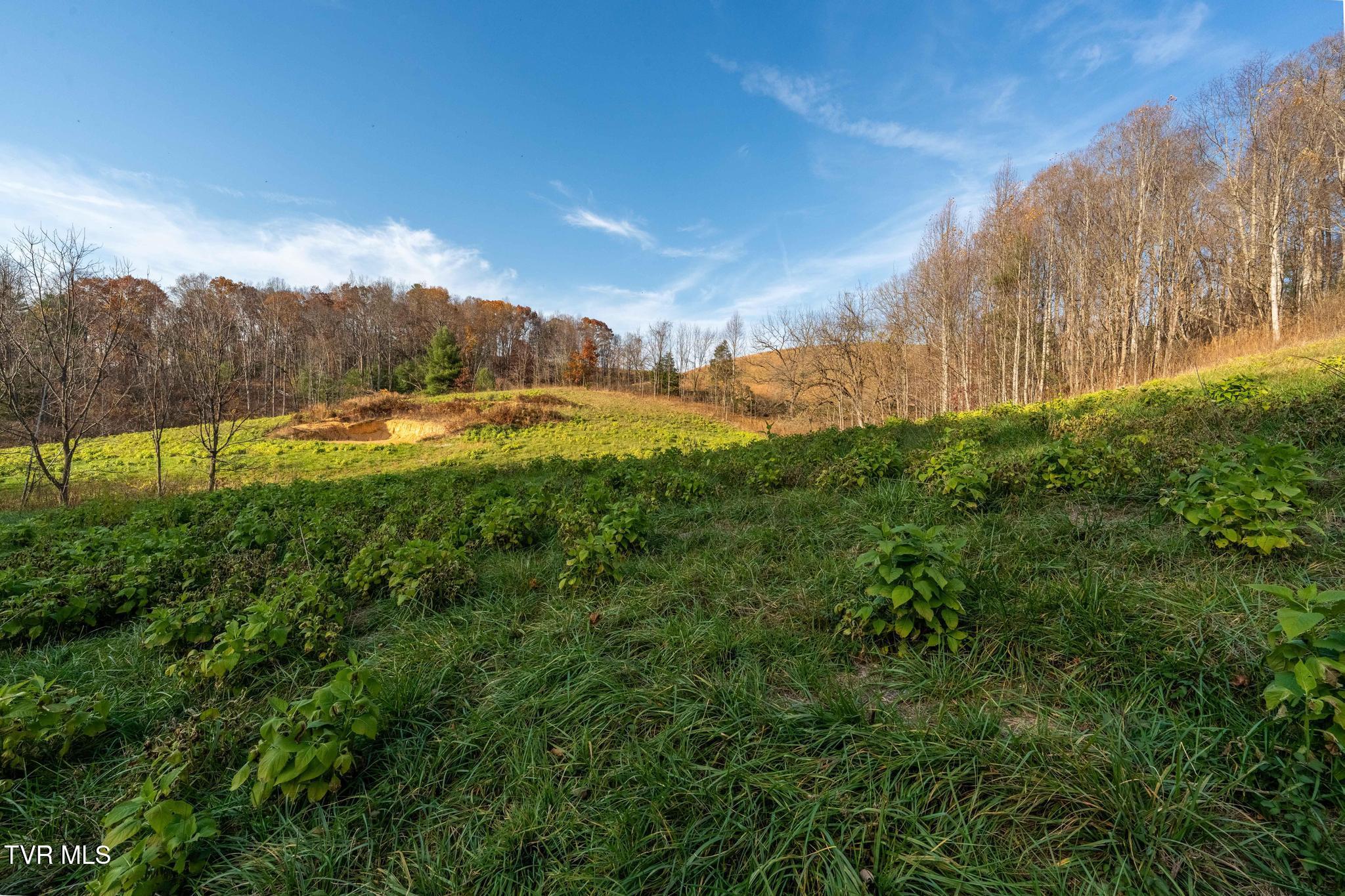 Lot 18 Silver Oak Trail, Unit 18 Butler, TN 37640 - Photo 37 of 42 Lot 18 Eagle Ridge (37 of 38)