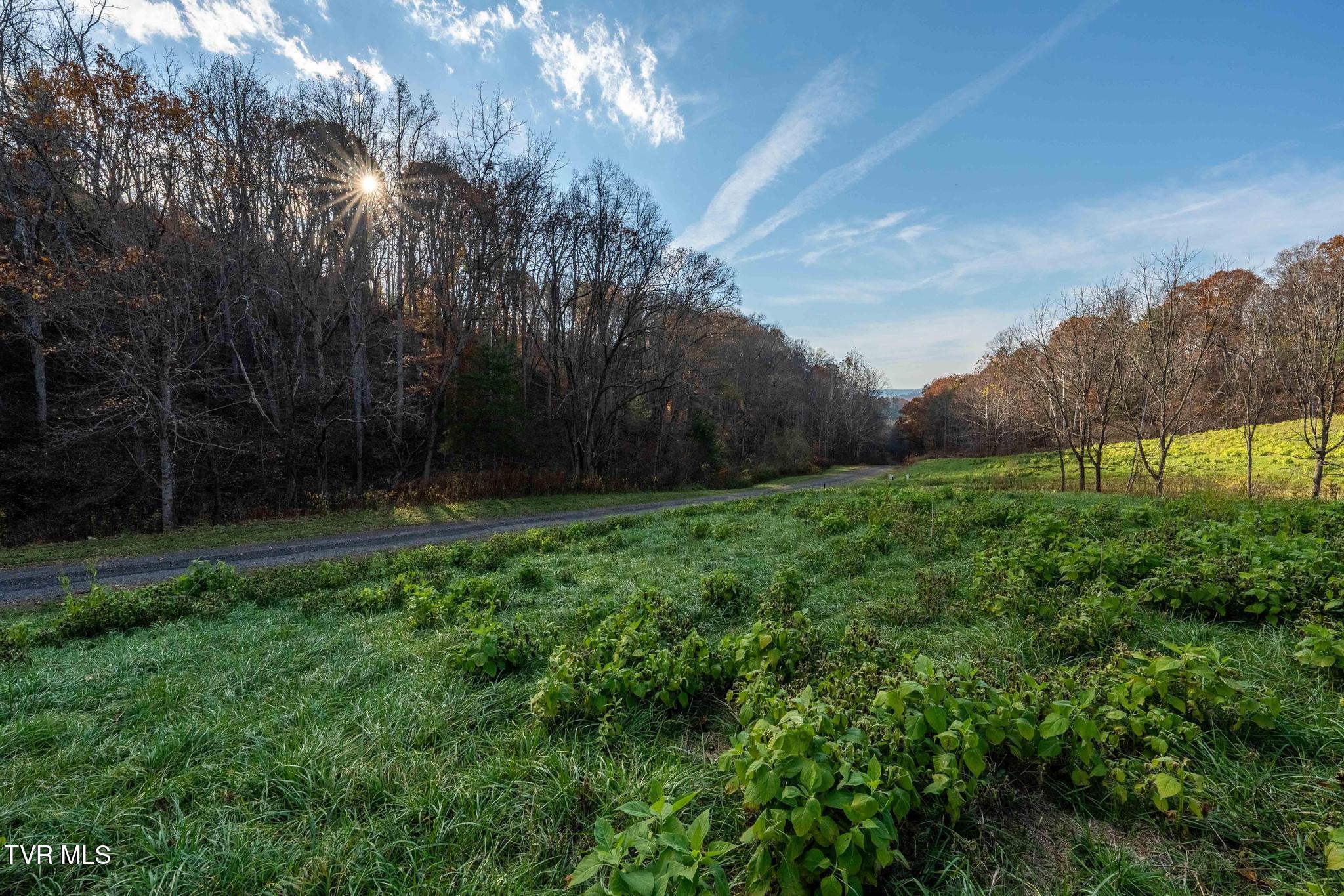 Lot 18 Silver Oak Trail, Unit 18 Butler, TN 37640 - Photo 38 of 42 Lot 18 Eagle Ridge (38 of 38)