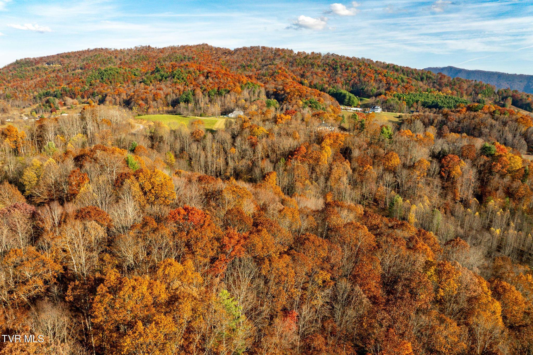 Lot 18 Silver Oak Trail, Unit 18 Butler, TN 37640 - Photo 7 of 42 Lot 18 Eagle Ridge (7 of 38)