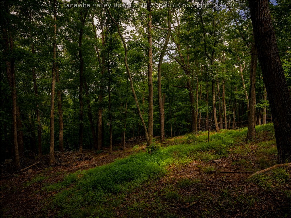 115 Ridgewood Forest Road St. Albans, WV 25177 - Photo 23 of 24 Gallery Image 23