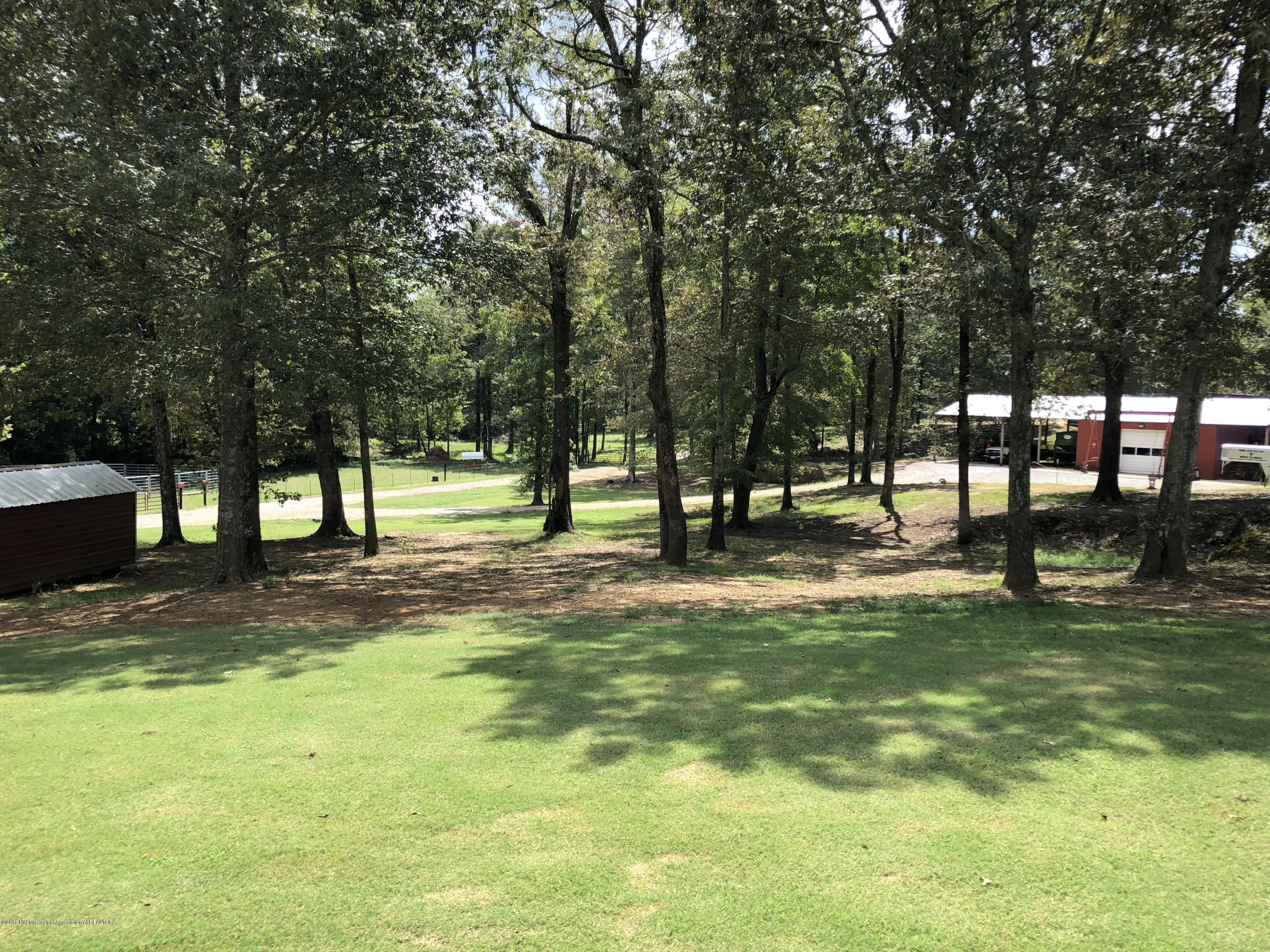 1454 Graham Road Coldwater, MS 38618 - Photo 54 of 62 IMG_1871