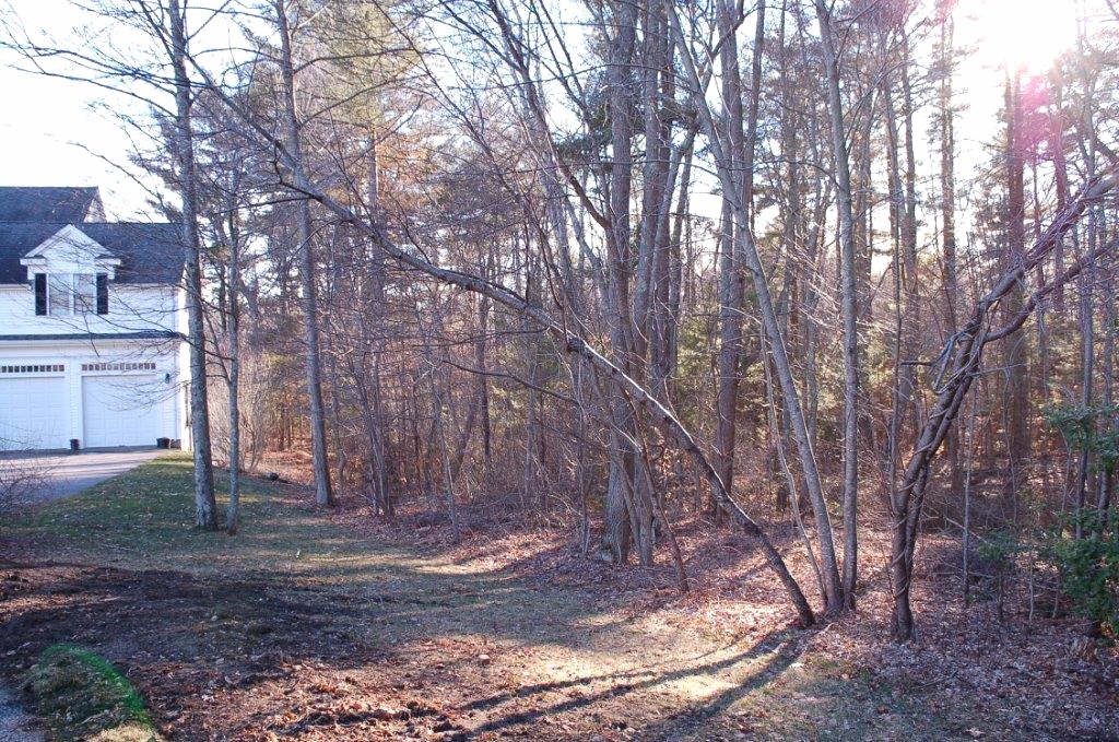 63 Cranberry Road Hanson, MA 02341 - Photo 22 of 23 Gallery Image 22