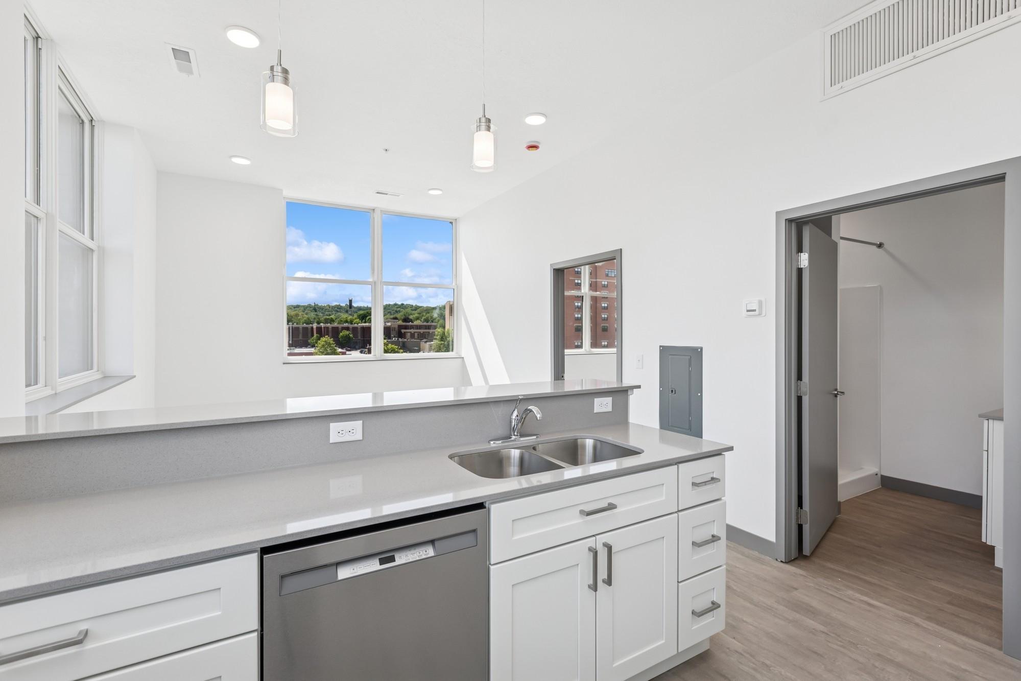 222 Bush Street, Unit 303 Red Wing, MN 55066 - Photo 4 of 15