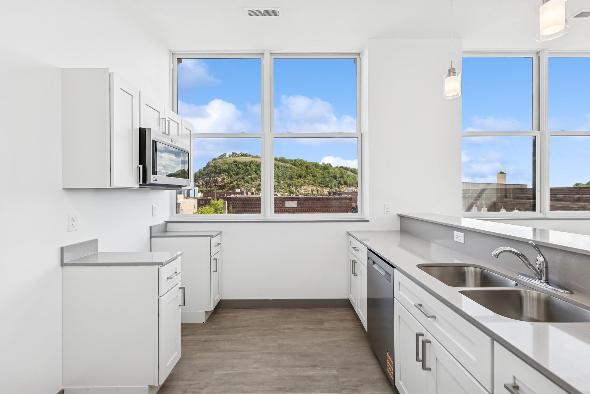 222 Bush Street, Unit 303 Red Wing, MN 55066 - Photo 5 of 15