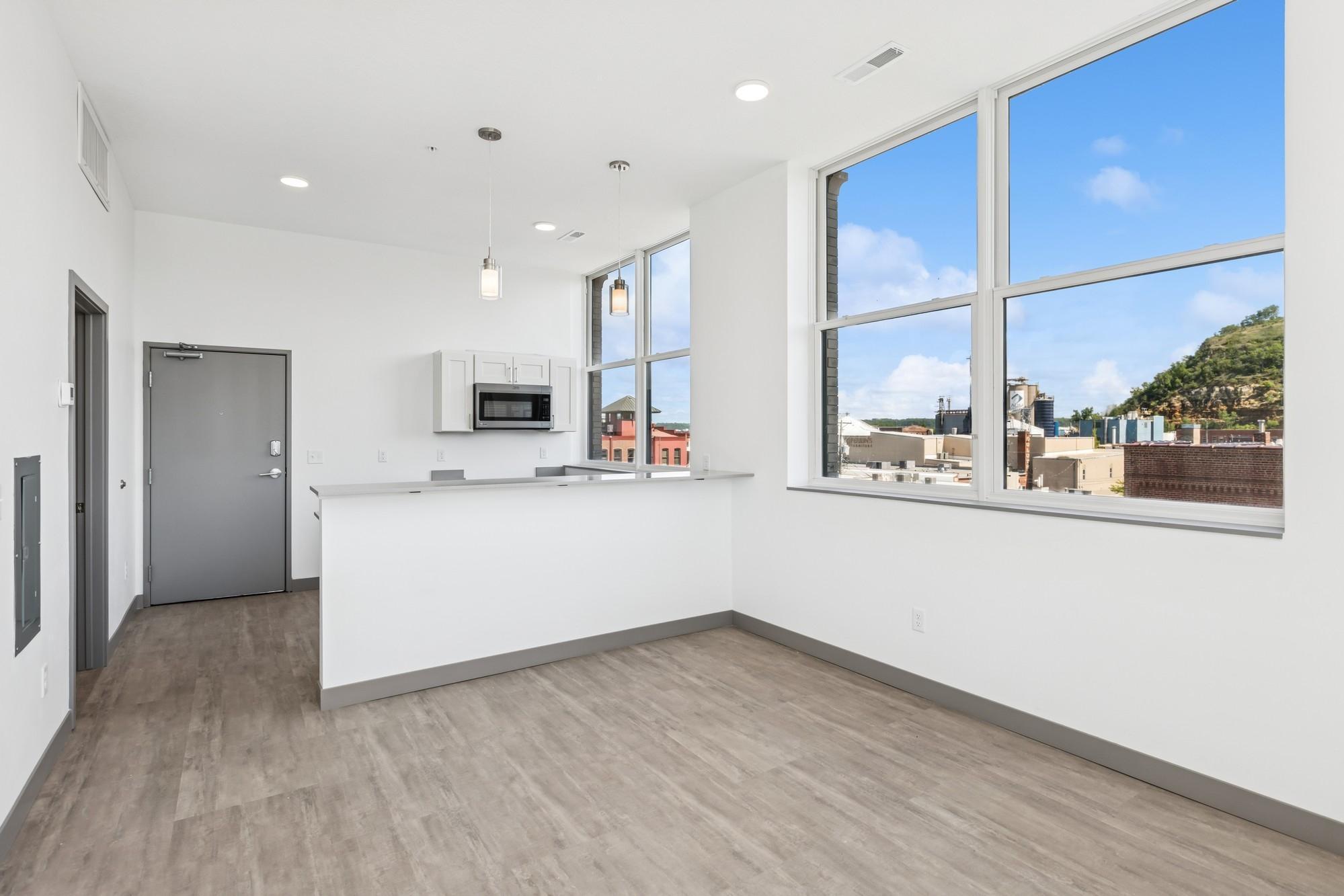 222 Bush Street, Unit 303 Red Wing, MN 55066 - Photo 10 of 15