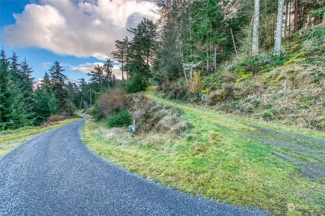 a view of a yard with large trees