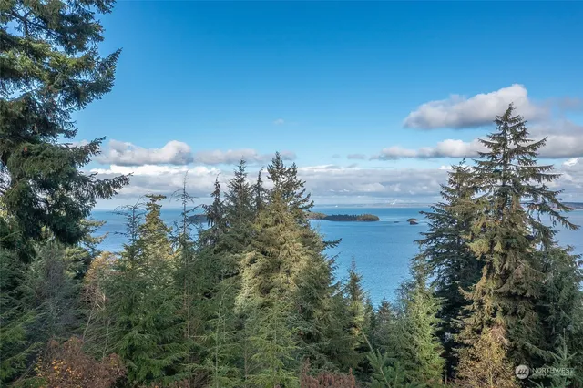 a view of a lake in between the trees