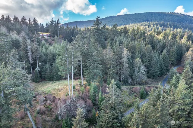 a view of a yard with plants