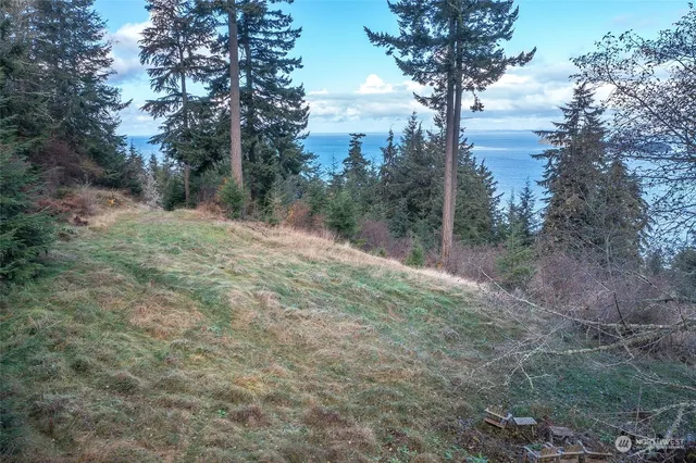 a view of a lake with a garden