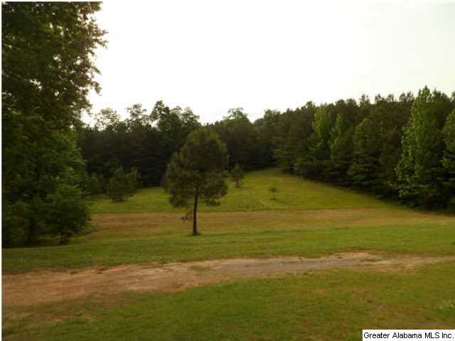 2794 Warrior Valley Road Altoona, AL 35952 - Photo 5 of 17